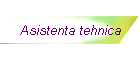 Asistenta tehnica