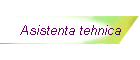 Asistenta tehnica